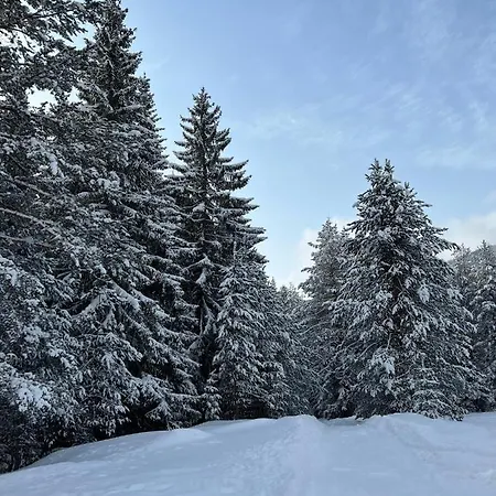райски кът “еленова поляна” *