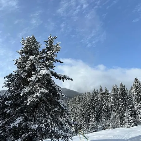 райски кът “еленова поляна” Lodge *