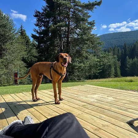 Cabană райски кът “еленова поляна” Dobărsko