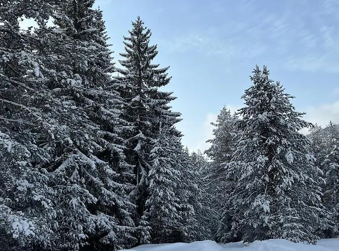 райски кът “еленова поляна” *