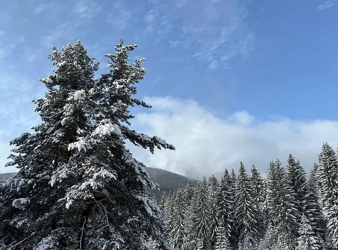 райски кът “еленова поляна” Jaktstuga *