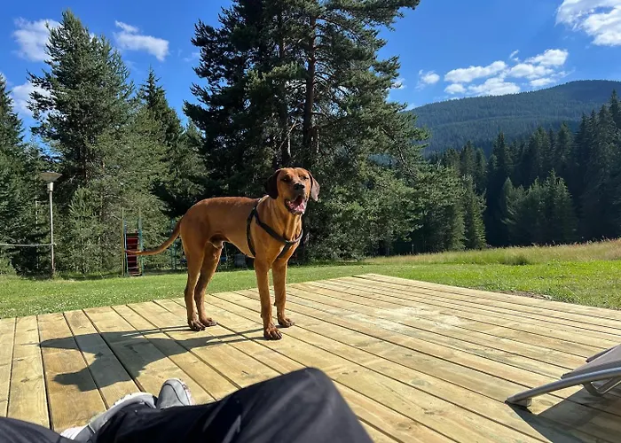 Jaktstuga райски кът “еленова поляна” Dobărsko